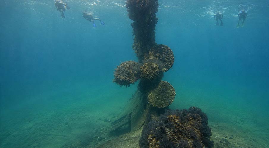Zacatitos Wreck